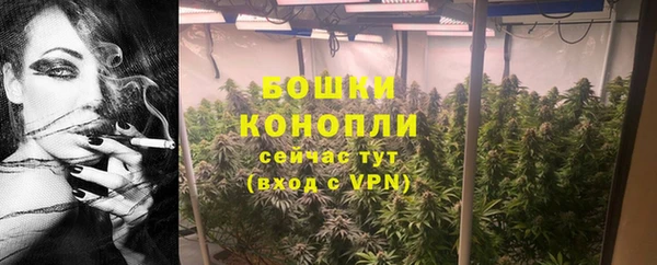 крисы Великий Новгород