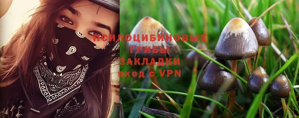 крисы Великий Новгород