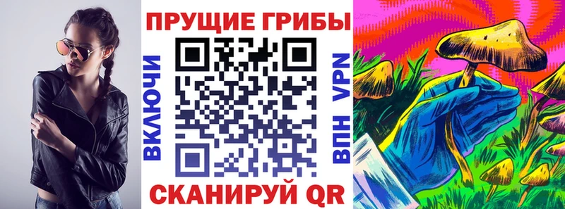 Псилоцибиновые грибы Psilocybe  где продают наркотики  Ялуторовск 