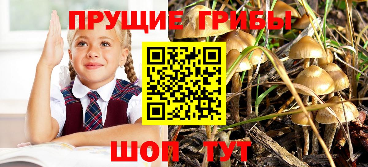Псилоцибиновые грибы ЛСД Ялуторовск