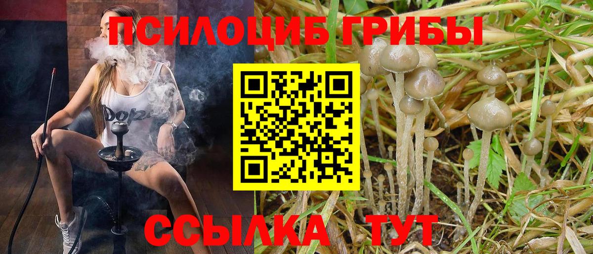 Галлюциногенные грибы ЛСД  Вход с VPN  купить наркотики сайты  Ялуторовск 